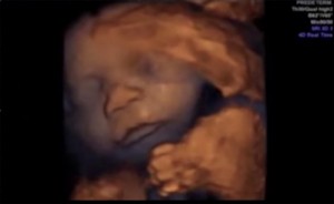 musica_vagina-680x417